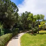 Cubo's Santa Maria Hills 3b