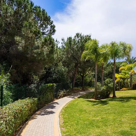 Cubo's Santa Maria Hills 3b